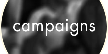 campaigns